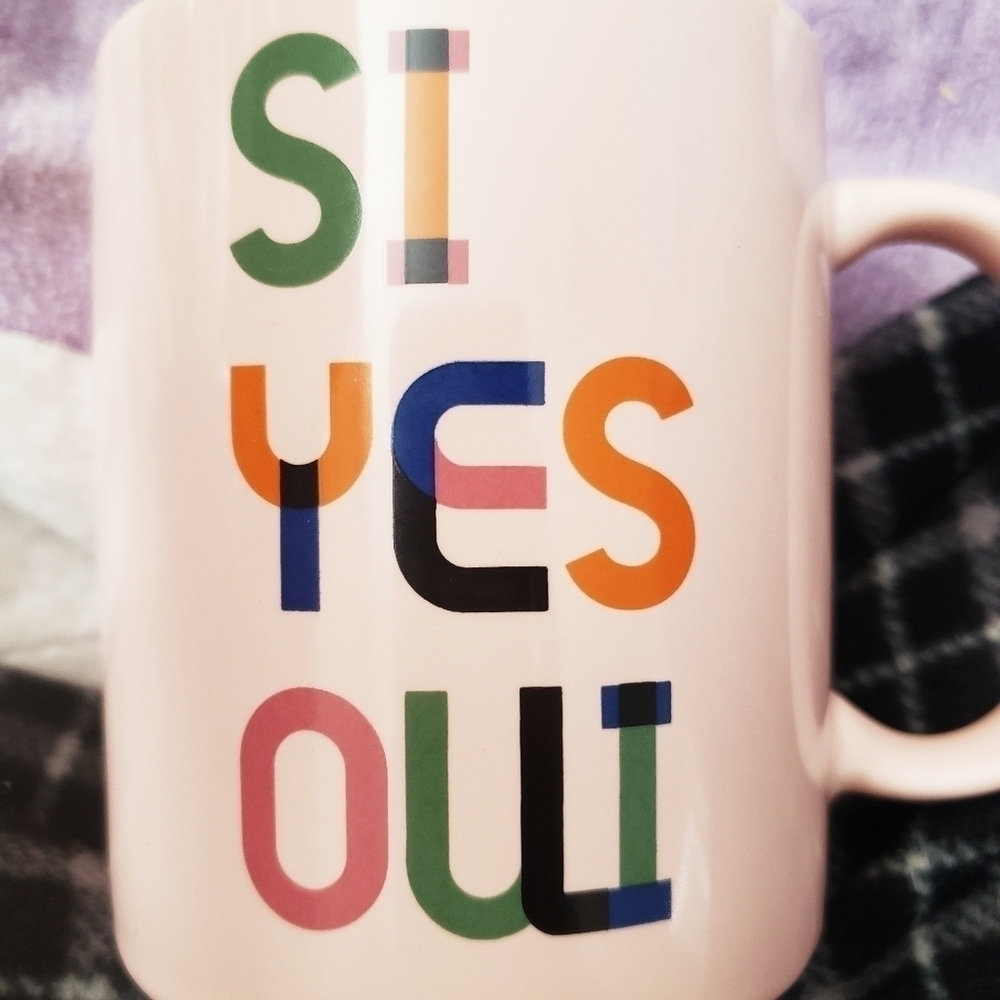NEW Room Essentials Stoneware Mug "Si Yes Oui" French Spanish Language Travel - Picture 6 of 6